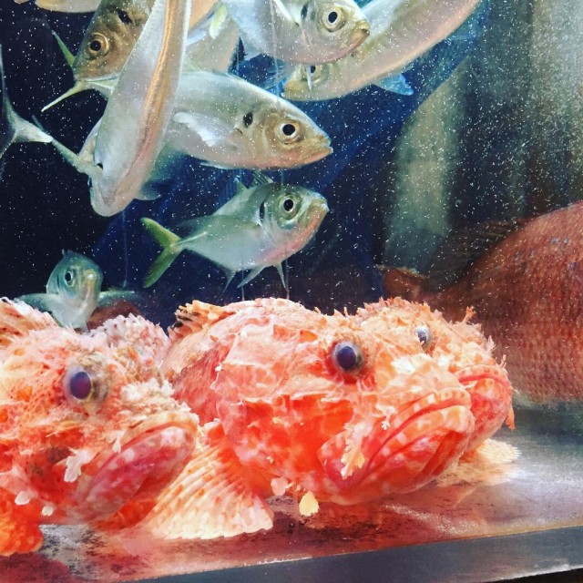 bbba0cbf-0b2d-45bc-9f5a-88eb797a53de