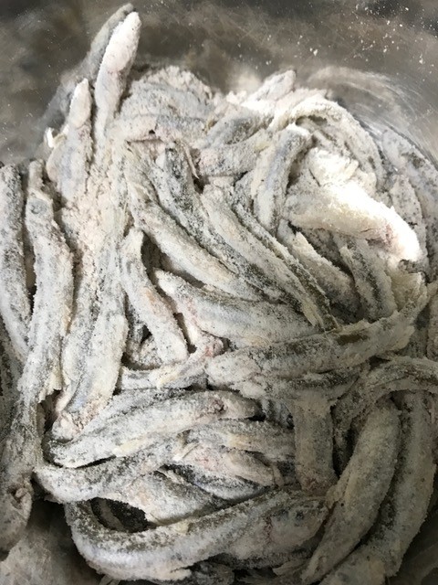 !cid_6280ACD4-E19B-4F59-BD59-C1867ACF4CE8