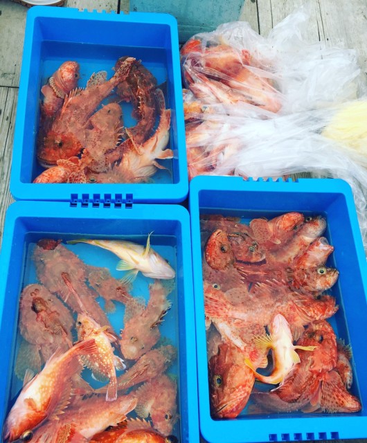 d969bf2c-87b1-49d4-bd89-9eaa3ceced8d