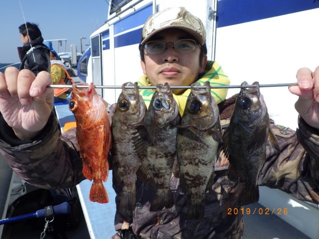 メバル釣行行って来ました。