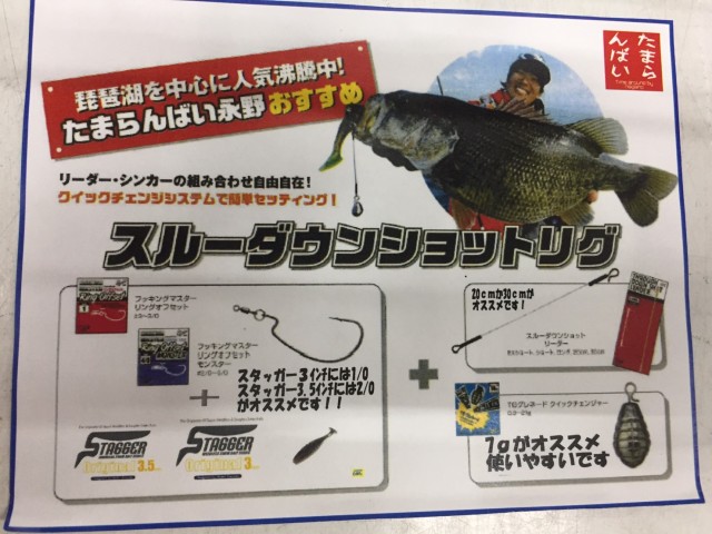 0c9fd1b0-f12f-4a4b-85be-5feef5df0b99