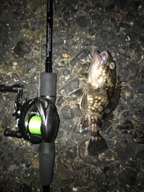 11e9fed0-bdae-41e8-8fdd-b998b5c1dcca