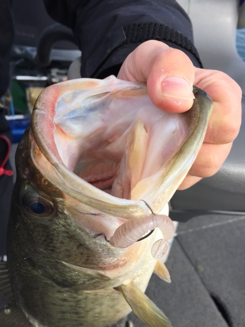 12864faa-b455-43e2-a16d-c1938ca50a7e