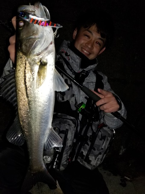 名港シーバス　釣れてます！！