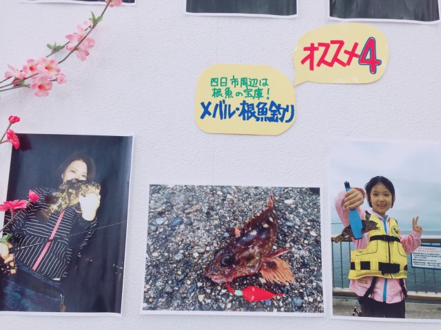 2f956a21-4722-4090-a66b-4f8e7bbc144f