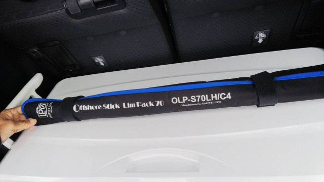 これからは、これが支流になる？！