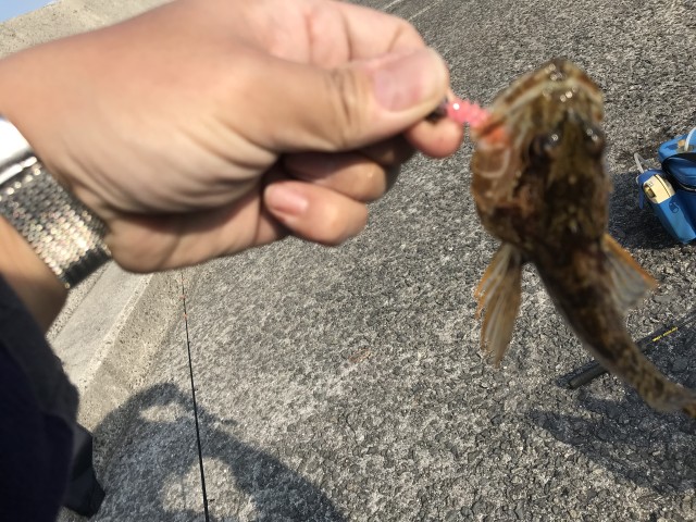 4E8B66FF-DC78-48EC-8AF5-0857F28C379D