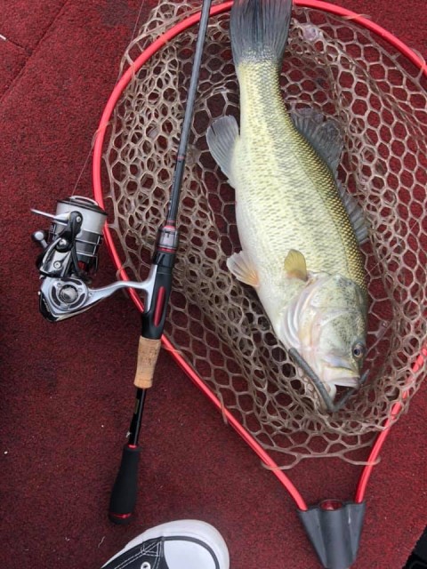 54728433_2075776109180443_988706260427735040_n