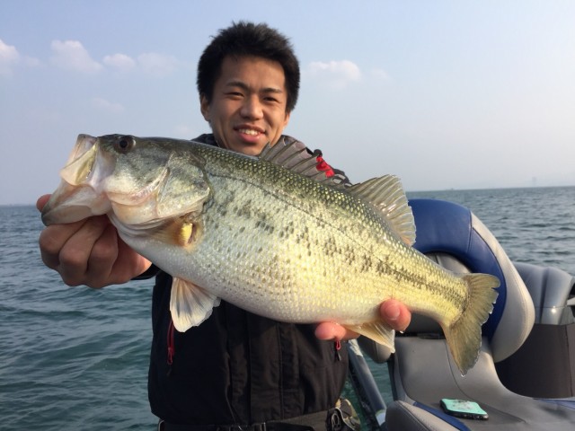 61fae9b3-0ccd-41b1-8653-54e4abfc1b2d