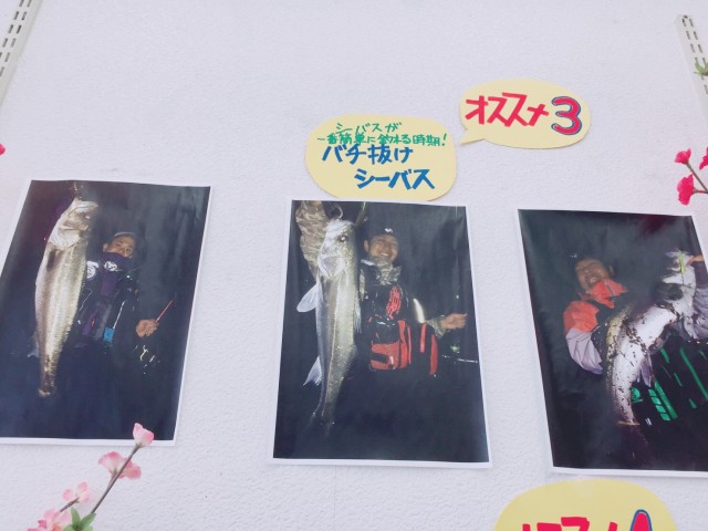 7ddc595b-c4c6-4b8b-b4f7-c16955439a7b