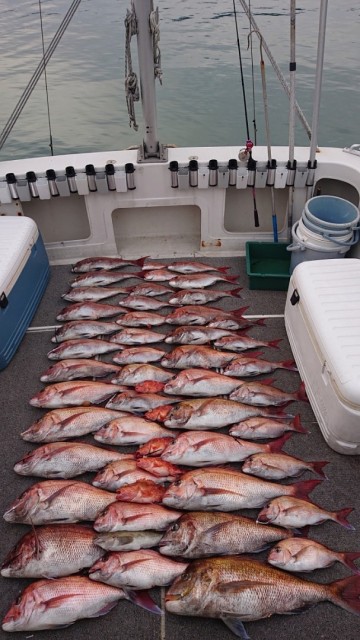 8cce43ed-bdb1-46e4-afa2-4a0d77016f90