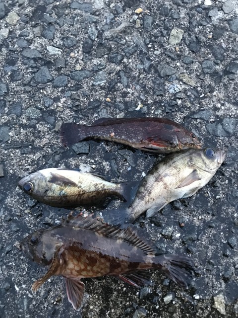 93685E69-1B44-46F8-9134-407C51951DC3