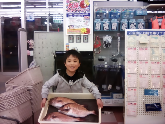 お魚釣れたよ日記