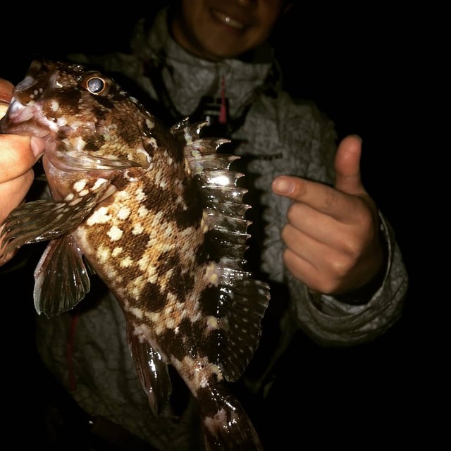 名港ロックフィッシュ！！