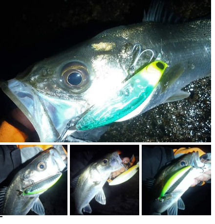 Screenshot_20190313-092952