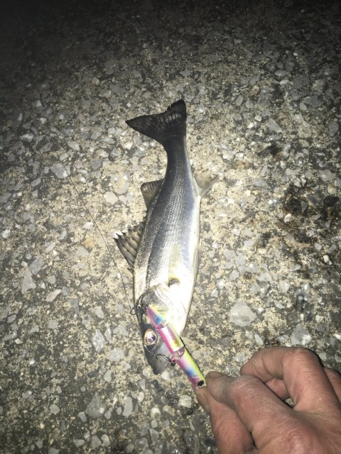 a13b82d5-866b-48c0-bc68-f4decd0002b9