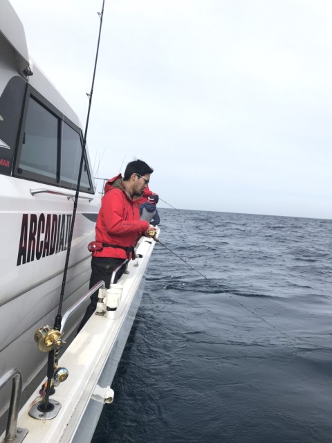 cad8a2e1-d8e4-40c7-8fff-eab076a6566e