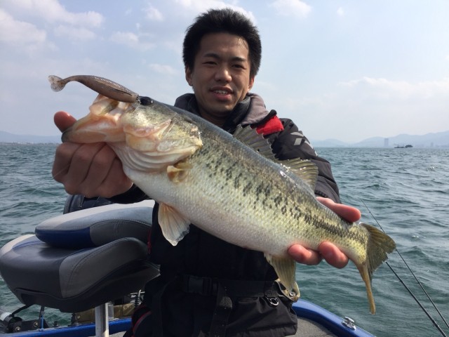 cdbb255c-4bf2-42a4-b7a3-09480a15e038