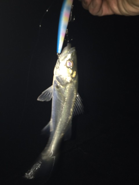 cedfcf17-d01c-4deb-805c-0a8f80e33ce6