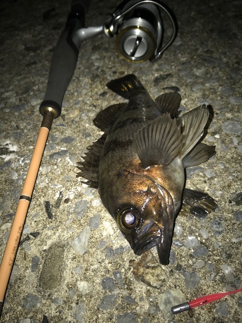 !cid_95C1C6D3-00B7-4DB5-A91F-039A291FD59A