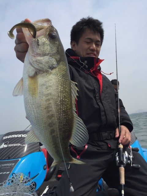 d3779280-6bf1-4bdd-81f2-cc7f78bf3a5f