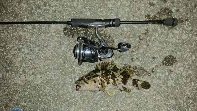 d7eae8e8-aa52-4e38-af80-c8ee28bbd0d1