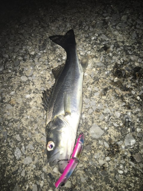 e5057f9a-06a1-43f8-b9bd-a74dc4ed9f8b