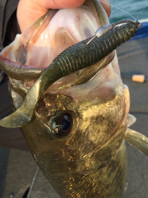 ff027643-782a-47f2-b3ce-4fa15c232e24