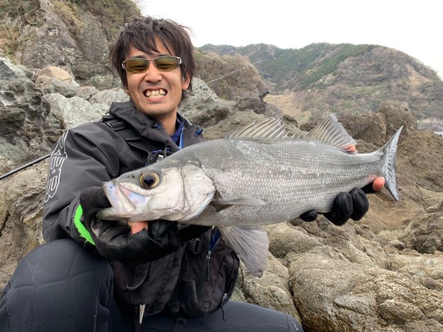 伊豆へヒラスズキ釣行！！