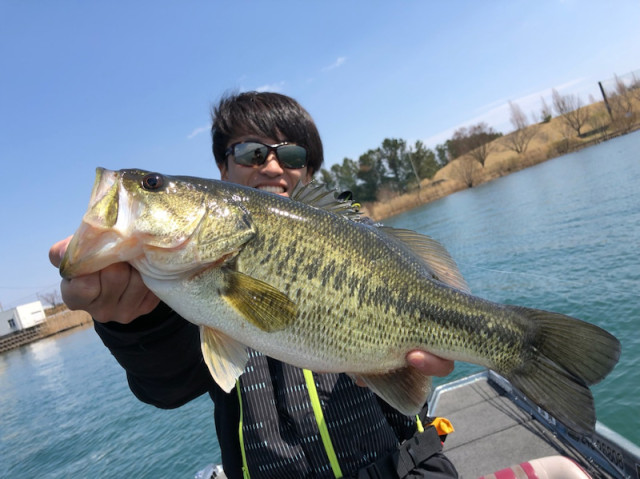 o1080080914379487991