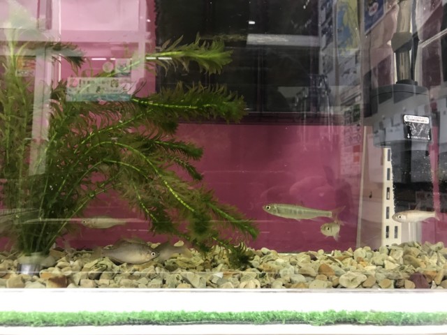 302cbd62-c960-4627-825e-4d59bdbaebca