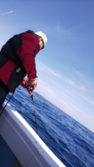 5eba977d-9d2c-4d47-bb8d-5d2c652bbbf6