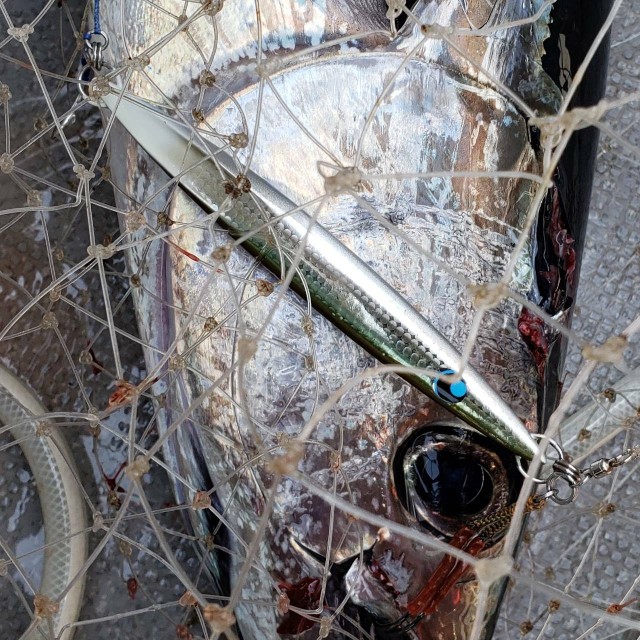 6046791b-90af-4516-8f9e-57c7ae8479d2