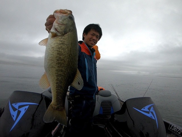 83bb2188-2178-4f5a-9964-b936920dae73