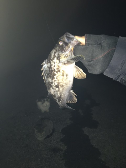 8901743e-1305-4141-bfbc-f55cf24ea7ac