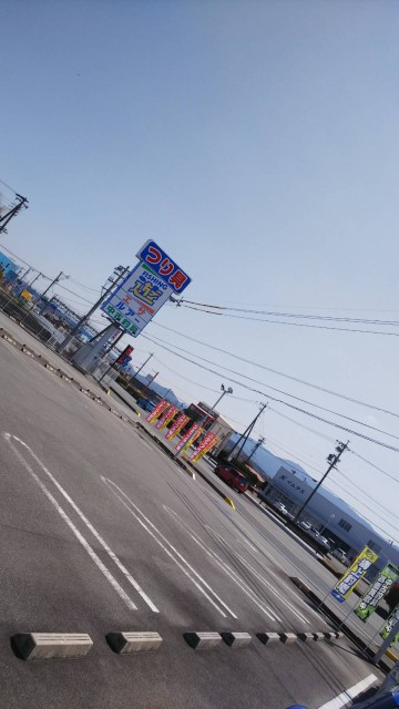 亀さんのひなたぼっこ