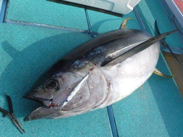 FB_IMG_1555923543618