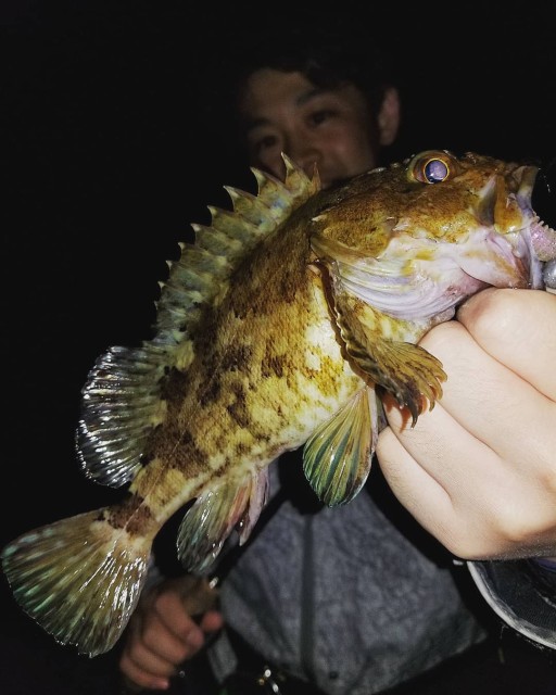 IMG_20190406_040914_522