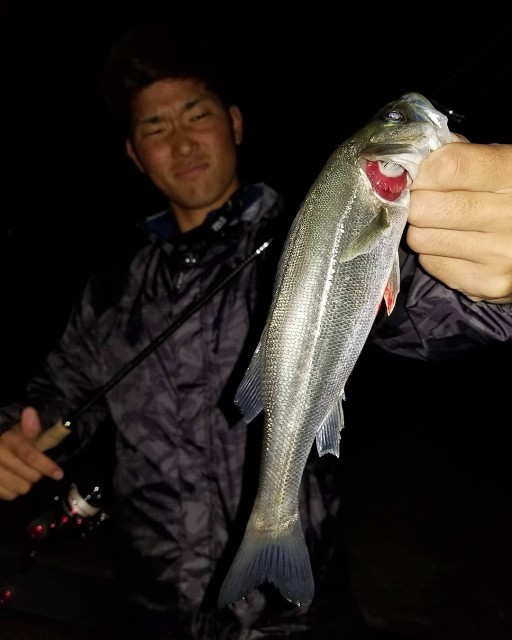 IMG_20190406_040914_523