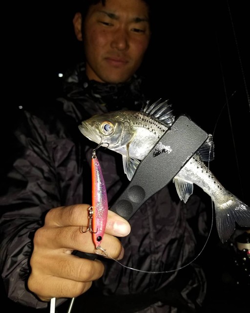 IMG_20190406_040914_524