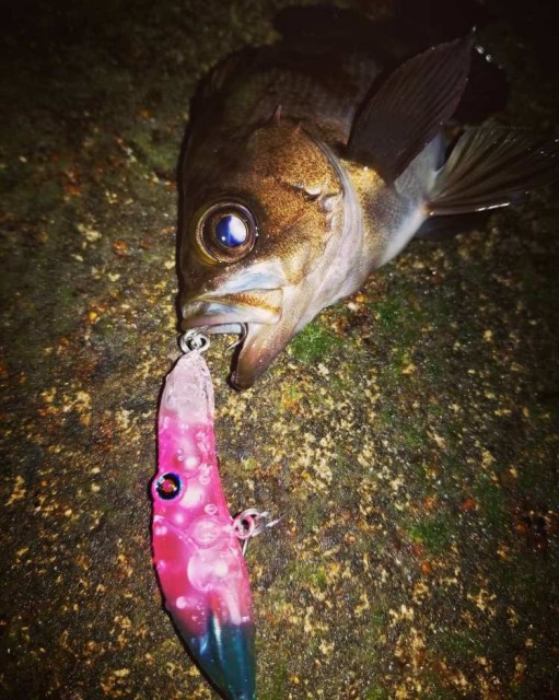 IMG_20190409_142000_516