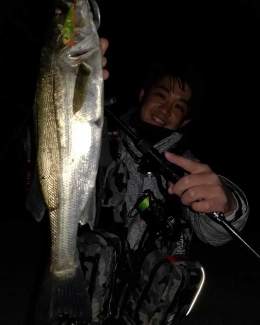 名港シーバス～バチ、マイクロベイトパターン～