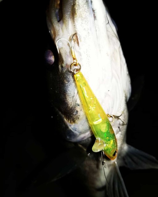 IMG_20190412_012856_147