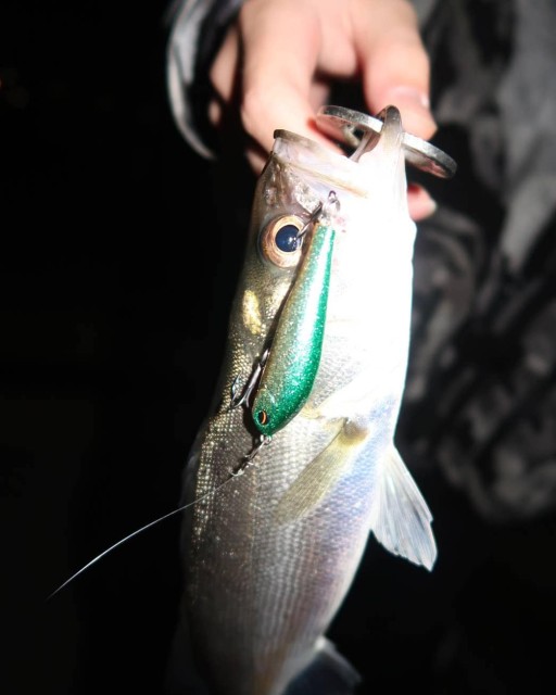 IMG_20190426_151500_832