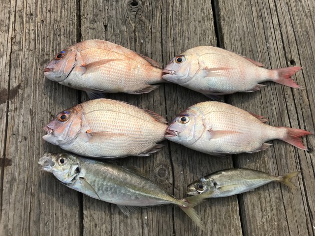 GWにおすすめ‼筏釣りに行って来ました‼