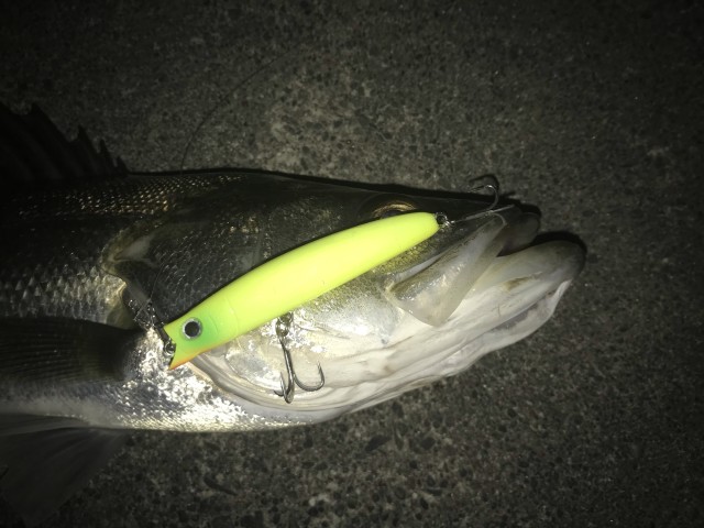 !cid_16a3f6ea7661c81fb5f2