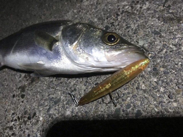 !cid_16a3f6ebe25bbfff9584