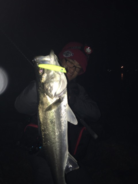 !cid_16a3f6ecfec26aeff215