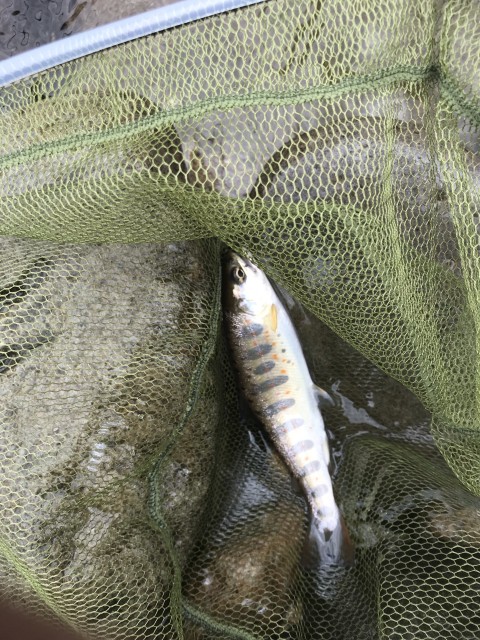 !cid_16a3f754d0edd08b05d2