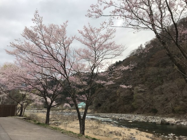 !cid_16a3f75590447b4665b3